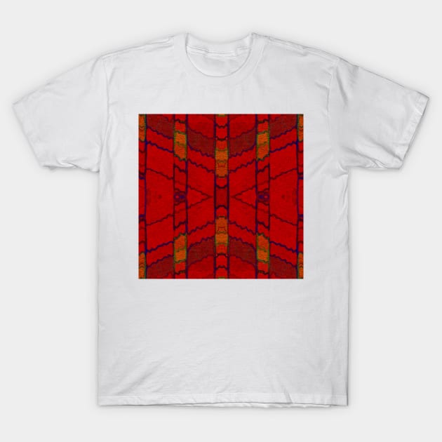 Tango Tapestry T-Shirt by DANAROPER